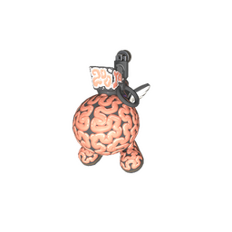 Charm | Big Brain