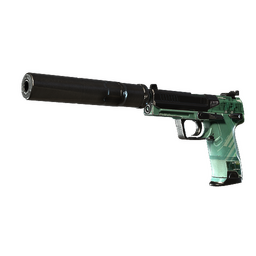 StatTrak™ USP-S | PC-GRN (Well-Worn)
