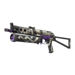 PP-Bizon | Space Cat (Well-Worn)