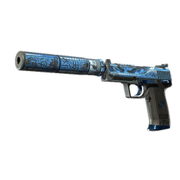 USP-S | Silent Shot (Battle-Scarred)