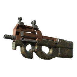 P90 | Ancient Earth (Minimal Wear)