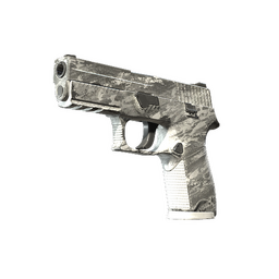 P250 | Sleet (Field-Tested)