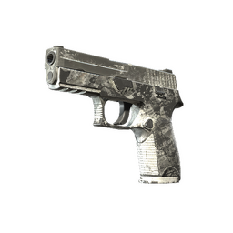 P250 | Sleet (Battle-Scarred)