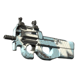 P90 | Glacier Mesh (Well-Worn)