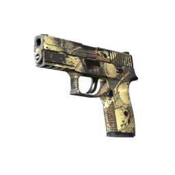 P250 | Contamination (Well-Worn)