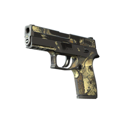 P250 | Contamination (Battle-Scarred)