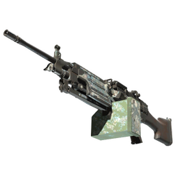 M249 | Blizzard Marbleized (Battle-Scarred)