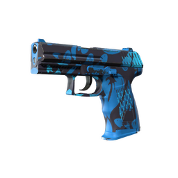 StatTrak™ P2000 | Oceanic (Factory New)