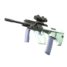 Souvenir AUG | Storm (Factory New)