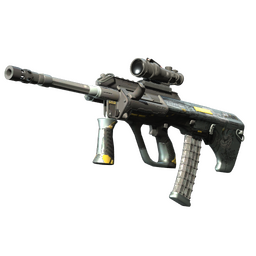 StatTrak™ AUG | Tom Cat (Minimal Wear)