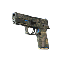 Souvenir P250 | Exchanger (Field-Tested)