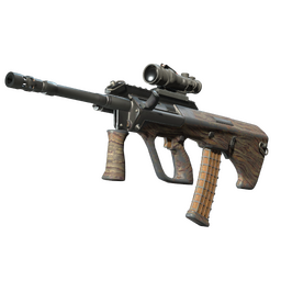 Souvenir AUG | Spalted Wood (Well-Worn)