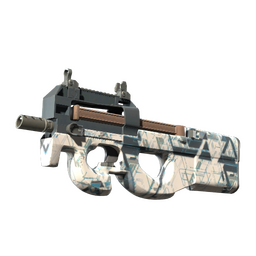P90 | Schematic (Minimal Wear)