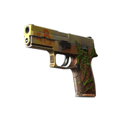 StatTrak™ P250 | Inferno (Field-Tested)