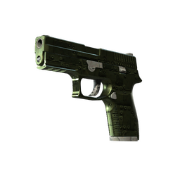 P250 | Iron Clad (Minimal Wear)