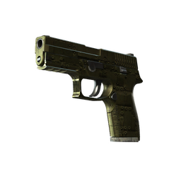 StatTrak™ P250 | Iron Clad (Battle-Scarred)