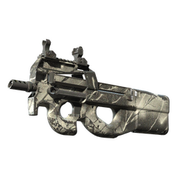 P90 | Ash Wood (Well-Worn)