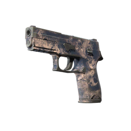 Souvenir P250 | Drought (Well-Worn)