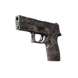 Souvenir P250 | Facility Draft (Well-Worn)