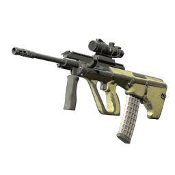 Souvenir AUG | Colony (Battle-Scarred)