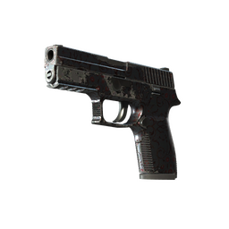 P250 | Dark Filigree (Well-Worn)