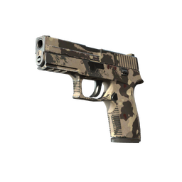P250 | Black & Tan (Well-Worn)
