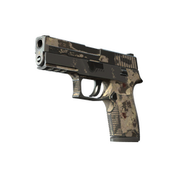 Souvenir P250 | Black & Tan (Battle-Scarred)