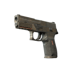 P250 | Bullfrog (Battle-Scarred)