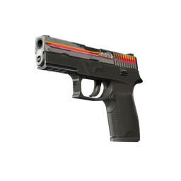 StatTrak™ P250 | Cassette (Well-Worn)