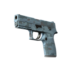 P250 | Forest Night (Minimal Wear)