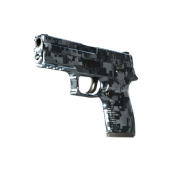 P250 | Steel Disruption (Minimal Wear)