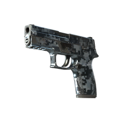 P250 | Steel Disruption (Field-Tested)