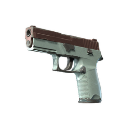 P250 | Copper Oxide (Field-Tested)
