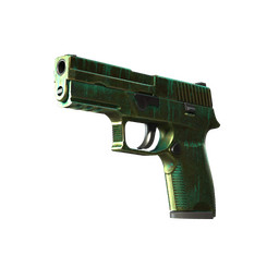 P250 | Verdigris (Battle-Scarred)