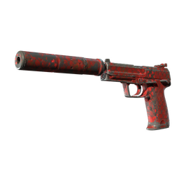 USP-S | Check Engine (Well-Worn)