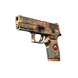 P250 | Red Rock (Minimal Wear)