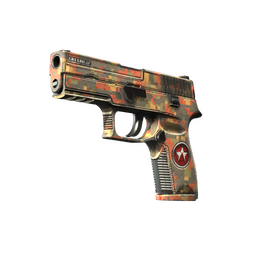 StatTrak™ P250 | Red Rock (Well-Worn)