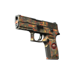 StatTrak™ P250 | Red Rock (Battle-Scarred)