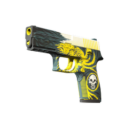 P250 | Wingshot (Minimal Wear)