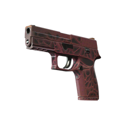 StatTrak™ P250 | Contaminant (Minimal Wear)