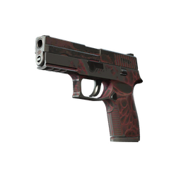 StatTrak™ P250 | Contaminant (Battle-Scarred)