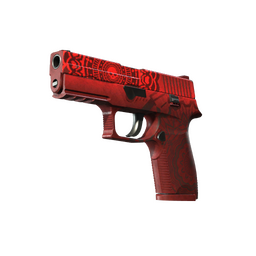 StatTrak™ P250 | Muertos (Battle-Scarred)