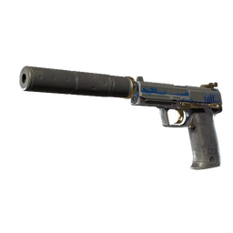 USP-S | Royal Guard (Battle-Scarred)