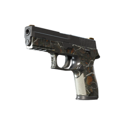 P250 | Small Game (Well-Worn)