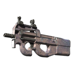 P90 | Wash me (Well-Worn)