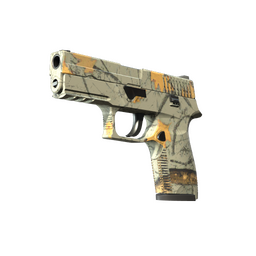 P250 | Modern Hunter (Minimal Wear)
