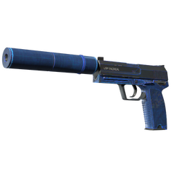 USP-S | Blueprint (Well-Worn)