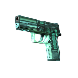 StatTrak™ P250 | X-Ray (Minimal Wear)