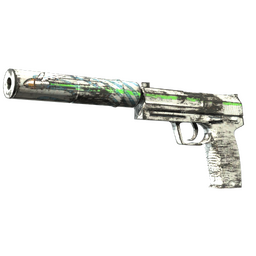 Souvenir USP-S | Road Rash (Factory New)