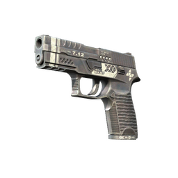 StatTrak™ P250 | Re.built (Minimal Wear)